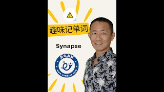 趣味记单词：Synapse [upl. by Whipple]