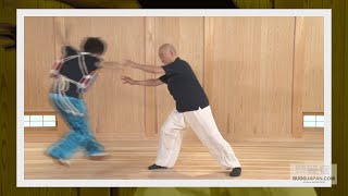 太我会 遠藤靖彦先生【陳式太極拳】柔を練って剛にする武術 THE ESSENCE OF CHEN STYLE TAI CHI [upl. by Karilynn]