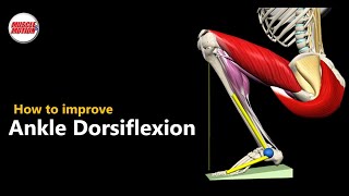 How to improve Ankle Dorsiflexion for a better squat [upl. by Nohtahoj393]