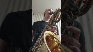 Baritone Altissimo music baritonesax [upl. by Ahtekal87]