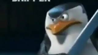 penguins of madagascar meme [upl. by Ecirual748]