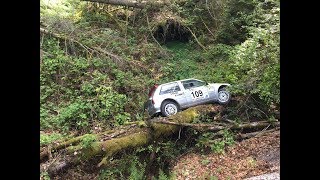 Best Of Rallye 2018 CRASH SHOW amp MISTAKES 1ère Partie [upl. by Amatruda]