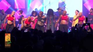 Koffi Olomide performs Micko Live at The Koroga Festival [upl. by Namilus]