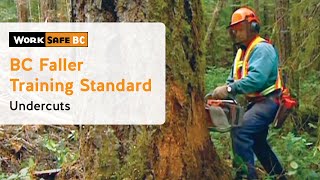 BC Faller Training Standard  Undercuts 8 of 17 [upl. by Lowis143]