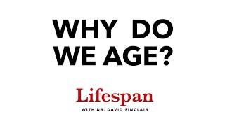 The Science Behind Why We Age  Lifespan with Dr David Sinclair 1 [upl. by Hnahk]