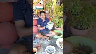 How to make small cement gamla art [upl. by Garaway]