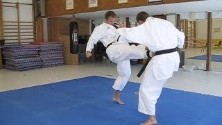 KARATE  Tiger Karate  Shotokan and mix of martial arts [upl. by Vaughn]