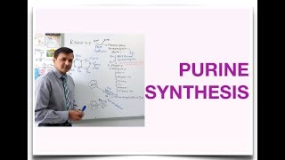 Purine Synthesis De Novo Purine Synthesis [upl. by Harvard]