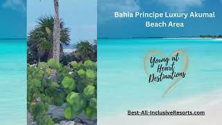 Bahia Principe Luxury Akumal Beach Area [upl. by Budding]