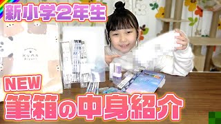 【筆箱紹介】新しくなった筆箱の中身や文房具を兄と紹介！＼新小学2年生／ [upl. by Rourke]