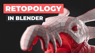 Retopology in Blender Beginner Tutorial [upl. by Shenan]