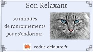 Son Relaxant  30 min de RonRonthérapie pour dormir comme un bébé grâce aux ronronnements des chats [upl. by Feinstein890]