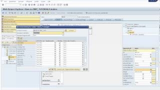 Build a Simple Web Dynpro ABAP Application Service Call Create Context Node Automatically PART 4 [upl. by Poland63]