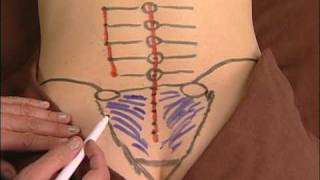 Anatomy Drawing of the Sacroiliac Ligaments [upl. by Annaira53]