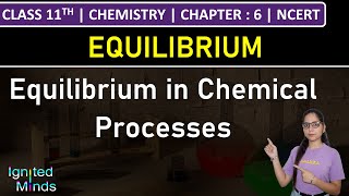 Class 11th Chemistry  Equilibrium in Chemical Processes  Chapter 6 Equilibrium  NCERT [upl. by Petrie]