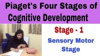 P12 Sensory Motor Stage  Piaget’s Four Stages Of Cognitive Development [upl. by Adialeda]