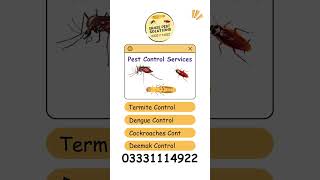 PestsTermite Dengue Cockroaches Control Services 03331114922  termitecontrol pestcontrol [upl. by Nylak]