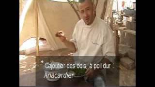 Recette de cuisine taboulé aux herbes fraiches et agrumes [upl. by Sheepshanks770]