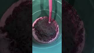 WineSearcher  Winemaking Project  Processing Syrah crusher syrah [upl. by Karp]