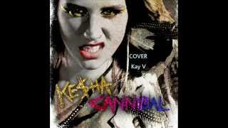 Cannibal cover Kesha  Kevin Vásquez [upl. by Harvison725]