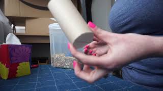 5 Easy DIY Rat Toys Using Toilet Roll Tubes [upl. by Aicella]