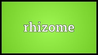 Rhizome Meaning [upl. by Haidedej]