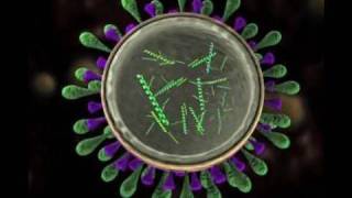 Science Today Virus Mutation  California Academy of Sciences [upl. by Atis]