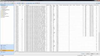 BSS Software für Dienstleister Planwerte in der Zeiterfassung im classic client [upl. by Clerissa]