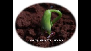 Sowing Seeds for Success [upl. by Ardenia]