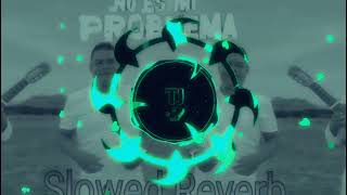 Es tu problema No es mi problema Slowed  Reverb  Mid Boost [upl. by Ahtibbat]