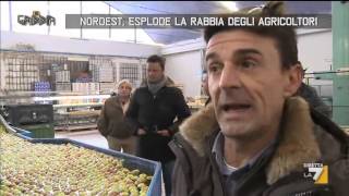 Nordest esplode la rabbia degli agricoltori [upl. by Selec563]