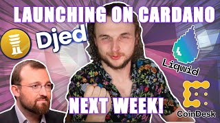 BREAKING Liqwid Finance and DJED are launching on Cardano NEXT WEEK [upl. by Letney]