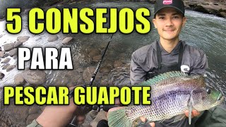 COMO PESCAR GUAPOTES EN RIOS O LAGUNAS 5 CONSEJOS [upl. by Noiro628]