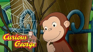 George The SpiderMonkey 🐵Curious George 🐵 Videos for Kids [upl. by Ybhsa170]