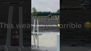 Mini barn vlog Part 2 horse equestrian shortsfeed blowup [upl. by Ressay]