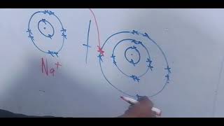 ELECTROVALENT AND COVALENT BONDING [upl. by Ahras]