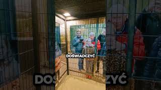 Ogród Zoologiczny Dla Ludzi🐒😨 [upl. by Setiram]