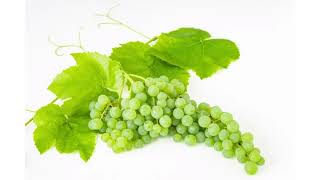 Champagne Grapes [upl. by Ball]