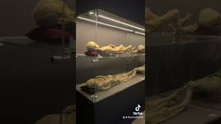 Mummies from guanajuato mexico mummy creepy ghost scary [upl. by Semadar189]