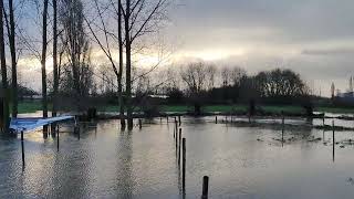 Parcours Hexia Cyclocross Gullegem onder water gelopen [upl. by Eradis264]