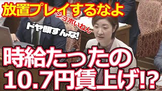 【大石晃子国会質問】人を増やすこともやらない、たった時給107円の賃上げでドヤ顔ケチケチ内閣はもう辞めてくれ！ [upl. by Cavil832]