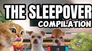 CAT MEMES THE SLEEPOVER COMPILATION EP1 [upl. by Kerek808]