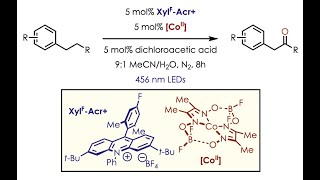 Homobenzylic Oxygenation via Dual Organic Photoredox and Cobalt Catalysis with Dr Joshua McManus [upl. by Dloraj]