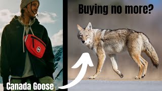 Are Major Fur Buyers Fading Away [upl. by Malory210]