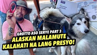 MAGANDANG BREED BAGSAK PRESYO  GROTTO ADO SERYE PART 3  NOVEMBER 24 2024 [upl. by Sucram949]