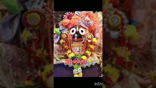 Jay Jagannath 🙏 DayakaraDinabandhu ⭕❗⭕ 🙏jagannathbhajanstatus [upl. by Pettifer]