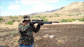 RWS Career II Carbine 177 LDC Test [upl. by Naujed]