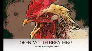 Open mouth breathing in chickens ACTUAL CAUSES  Sez the Vet [upl. by Enaled]