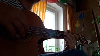 Die Feisten quot Nussschüsselblues quot fingerstyle [upl. by Batsheva]