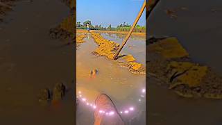 Farming Desi Looks 💪viralshorts viralvideo framing desi looks agra [upl. by Ettennyl282]